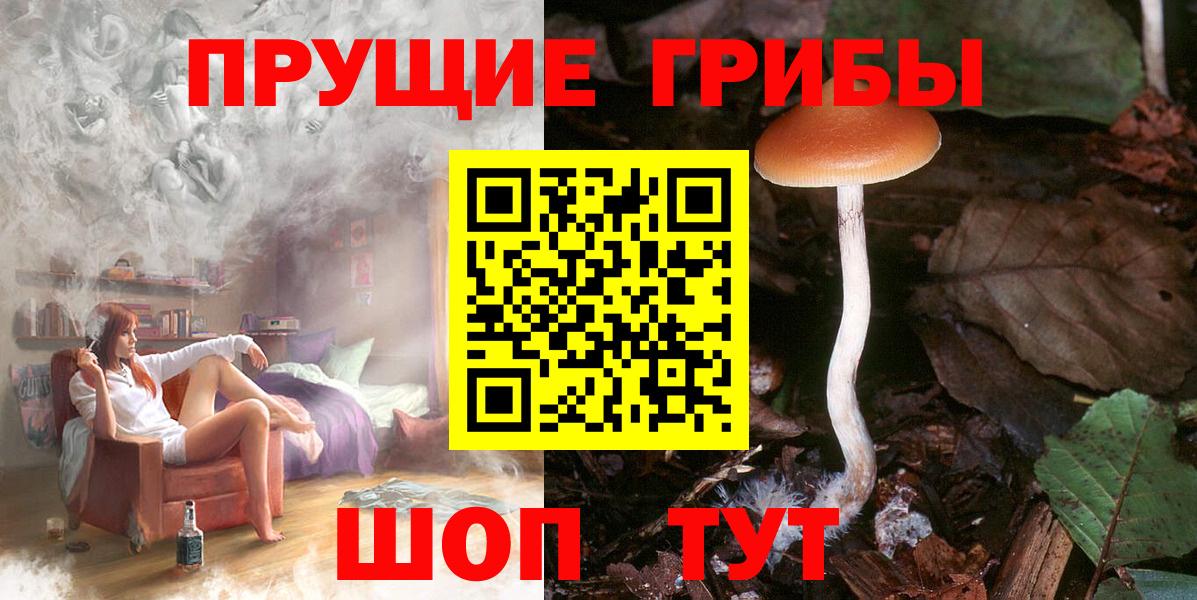 Галлюциногенные грибы Magic Shrooms Сорочинск