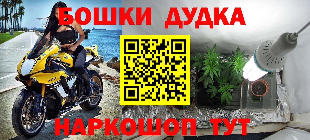 Каннабис сатива Сорочинск